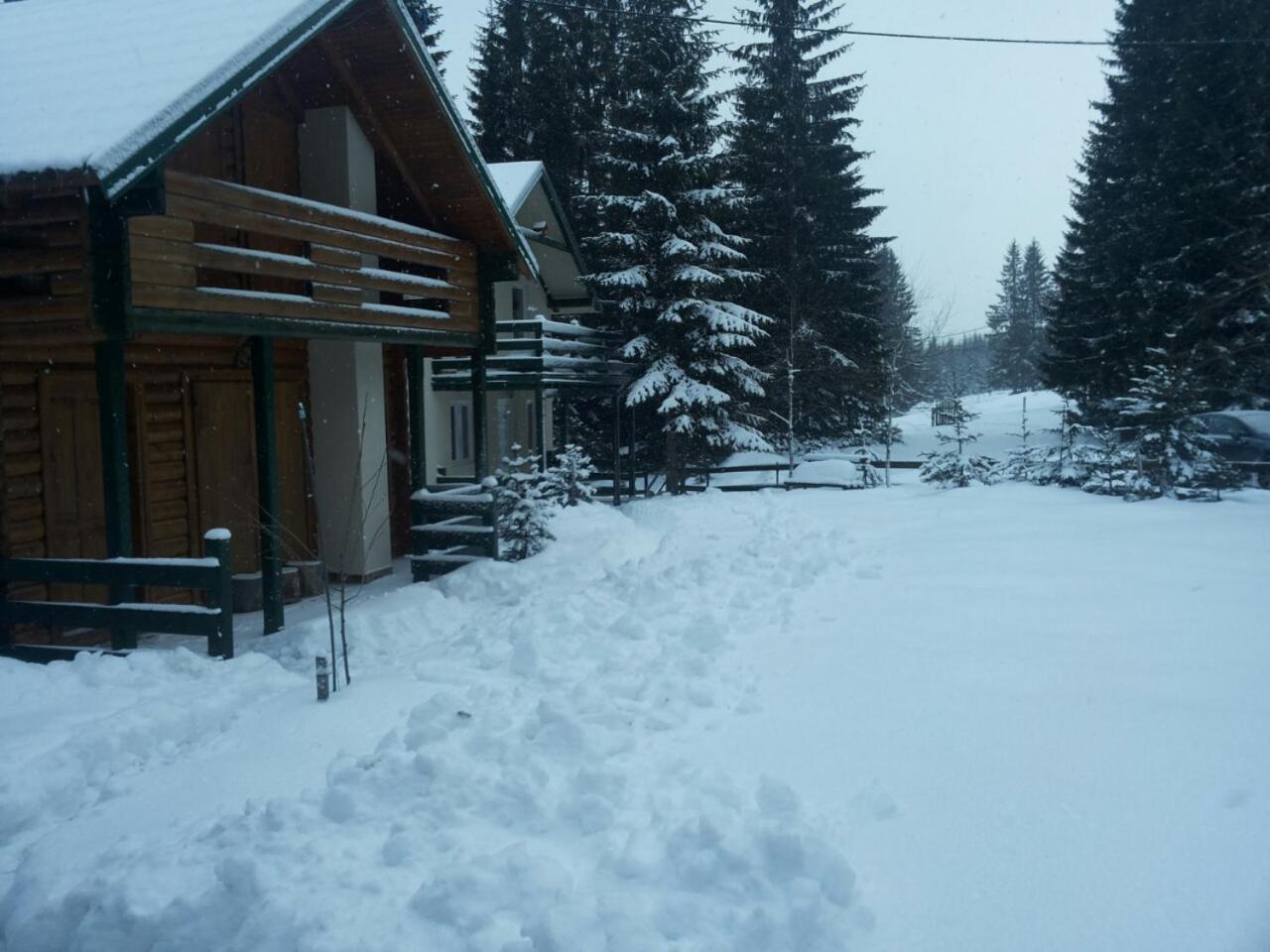 Holiday Home Stella Star Žabljak Extérieur photo